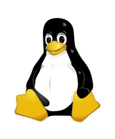 Linux een stabiel server platform