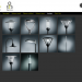 Burlight mobiele app 3
