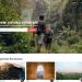 Triptold 1